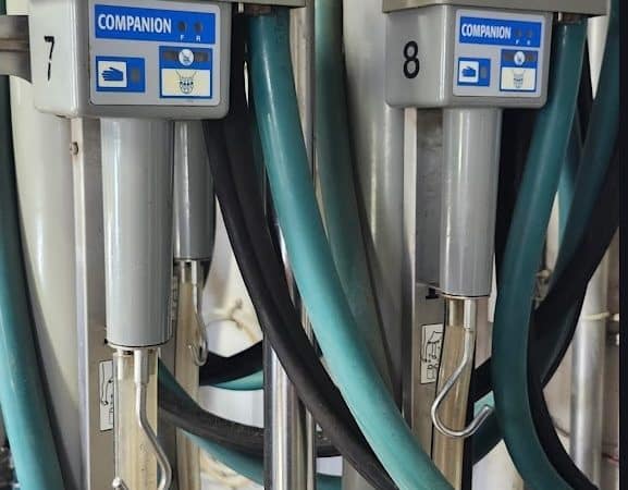 10 Trayeuse retrait automatique Boumatic companion-Stock#d9493i