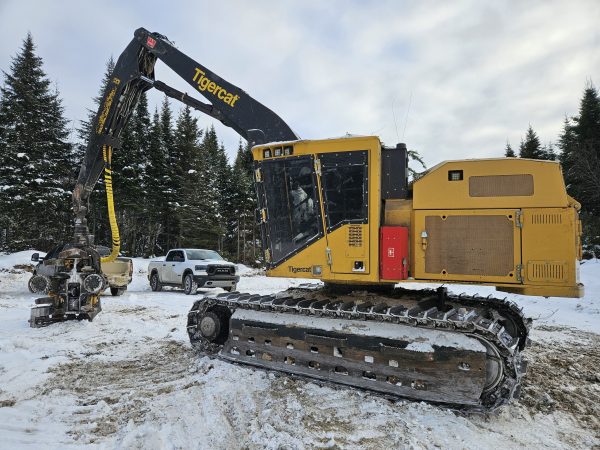 Abatteuse Tiger Cat 855E 2023 avec tête Ponsse H7HD 2023