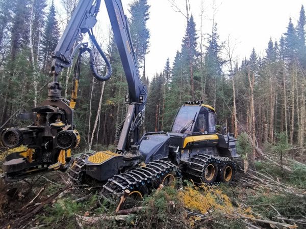 Bûcheuse Ponsse Cobra 8W 2022 avec tête Ponsse H7