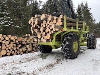 Porteur forestier Tree Farmer C5D refait-6368HRS-Année 1979-Stock #S2478A/10536 – Image 4