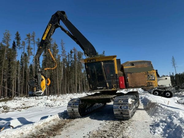 Bucheuse TigerCat 855E sans tete-15591HRS-Année:2024-Stock#S2524A/10748
