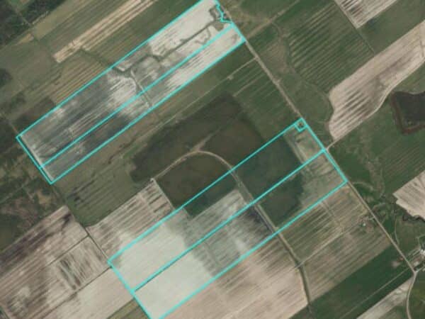 Terre à VENDRE - Municipalité de St-Félicien - 297 acres cultivables nivelés et drainés - Stock#d11234b