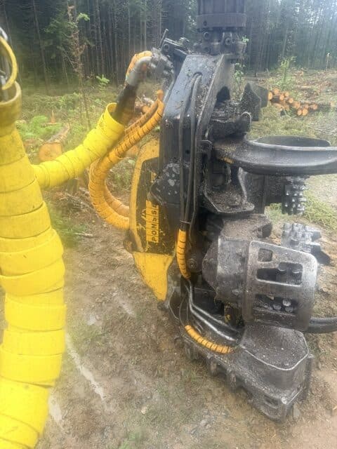 Abatteuse multifonctionnelle Ponsse Fox avec tête Ponsse H6-21641HRS-Année 2020-Stock #S2601A/11349 – Image 10
