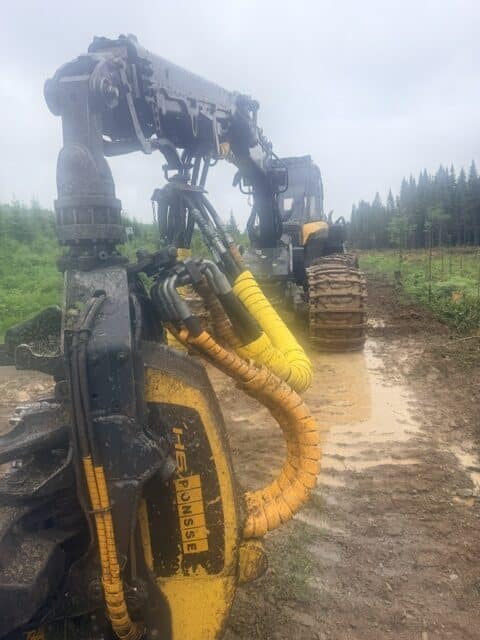 Abatteuse multifonctionnelle Ponsse Fox avec tête Ponsse H6-21641HRS-Année 2020-Stock #S2601A/11349 – Image 7